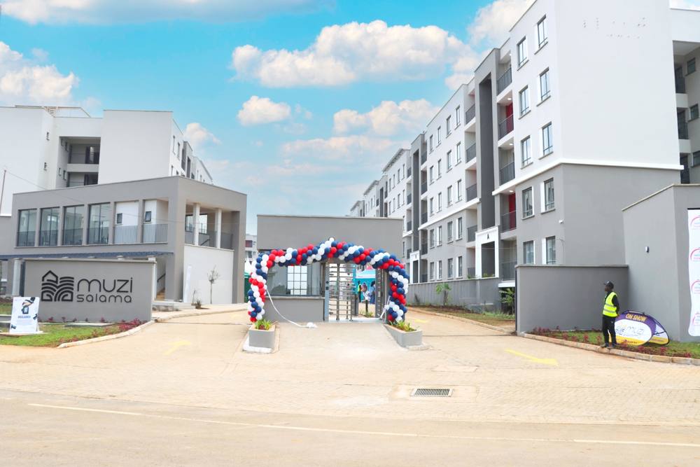 Muzi Salama: Entrance