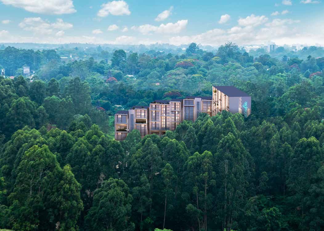 Cascadia Apartments: Towers above the trees (developer render)