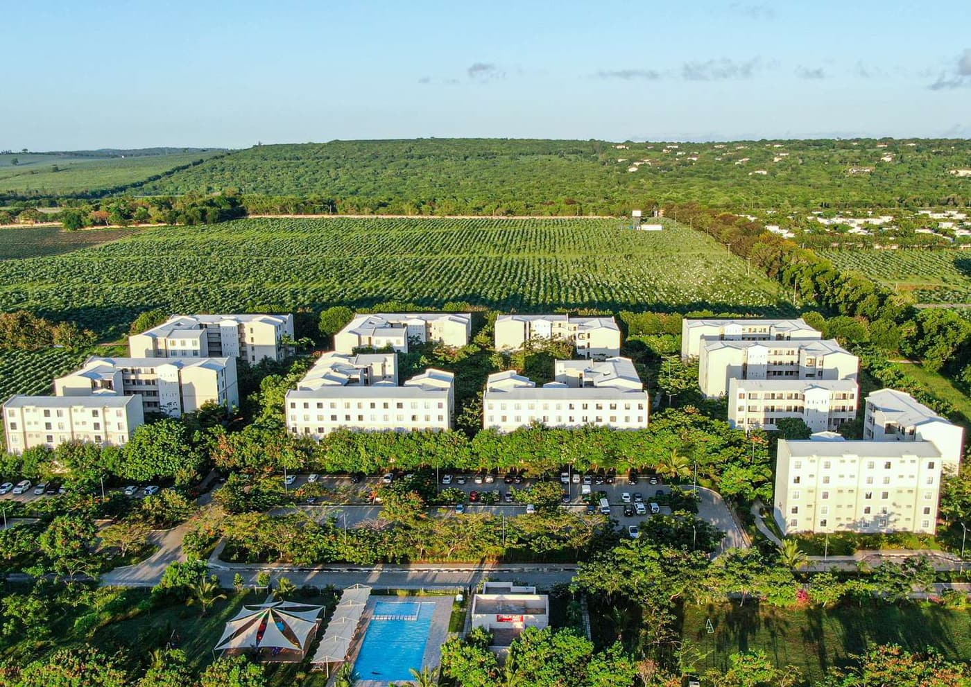 1255 Palm Ridge Phase 2: Aerial view