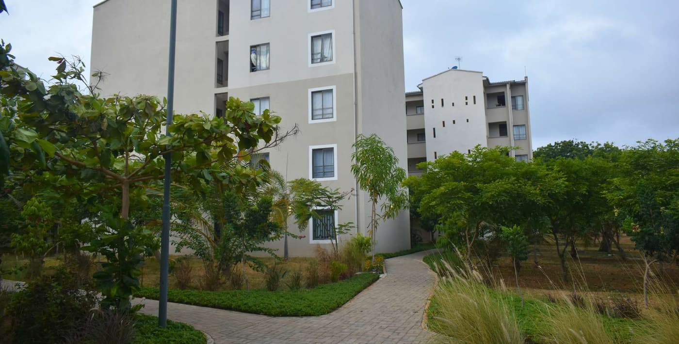 1255 Palm Ridge Phase 2: Estate gardens